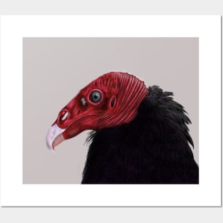 Illustrated Turkey Vulture Posters and Art
